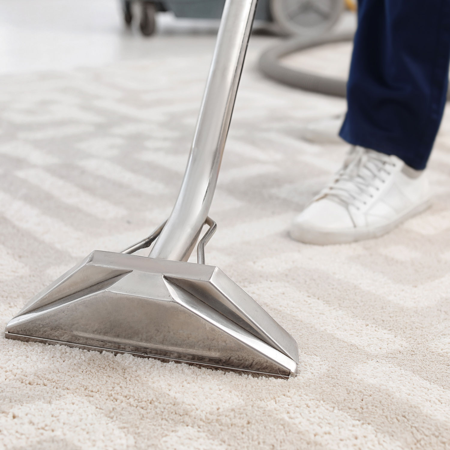 Steam carpet clean professionals