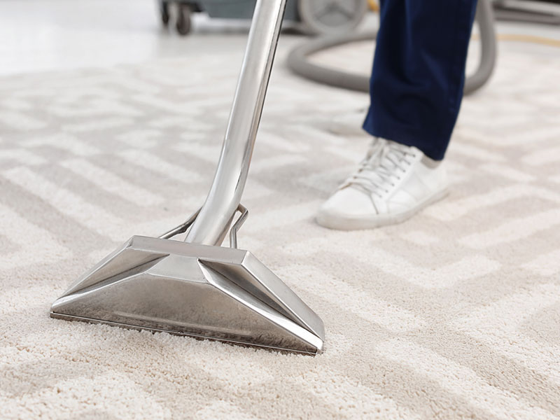 Steam carpet clean professionals